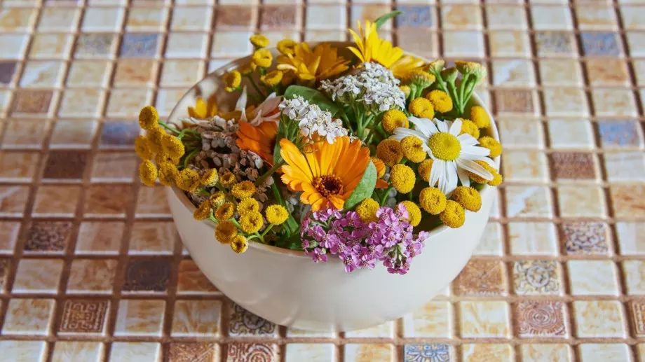 Растения, които са мощни лечители