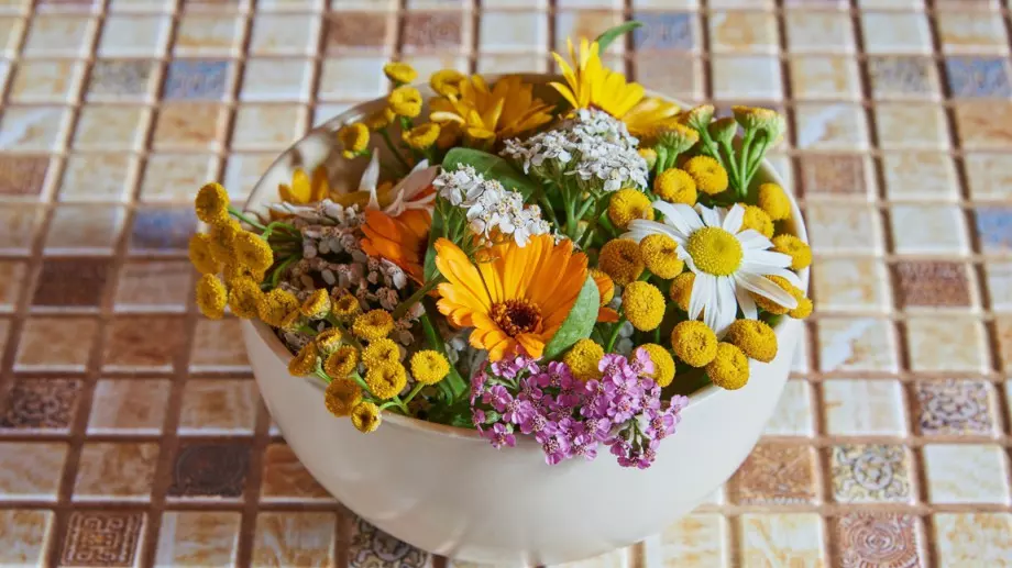 Любимата билка на баба Ванга, която лекува десетки болести