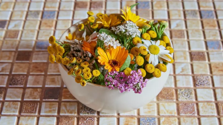 Уау! Всеки трябва да знае за вълшебното действие на тези билки! За някои дори не сме и подозирали!