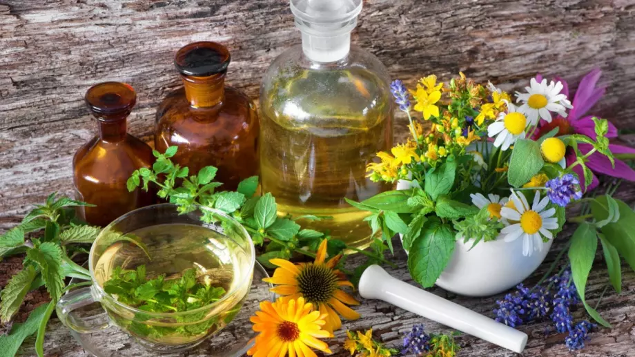 Всеки трябва да знае това! Тези билки могат да застрашат здравето ви!