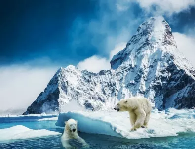 Ледено убежище ще спасява арктическия живот?