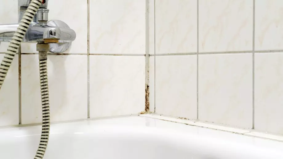 Ето как само за 20 минути да се избавите от мухъла в банята