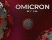 До 2-3 седмици Омикрон ще доминира в България, може да има по 10 000 заразени на ден