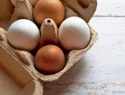 Кутията за яйца ще ви помогне за огромна реколта в градината, само направете това