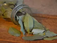 Защо бабите слагат дафинови листа в кутиите с брашно и зърнени храни