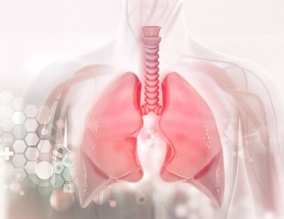 Сигналите на тялото: ранни признаци за рак на белия дроб
