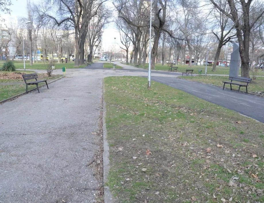 Допълнителни пейки са поставени в парк „Владикина бахча“ във Видин