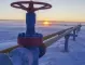 Русия едва ли ще ползва спирането на газа като оръжие, смята експерт
