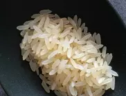 Защо опитните домакини слагат ориз в хладилника?