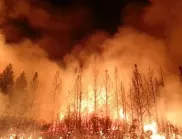 Ситуацията в Арктика се нажежава: "зомби пожари" унищожават горите