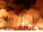 Огромен горски пожар в Мармарис, евакуират хора (ВИДЕО)