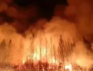 Пожар в иглолистна гора между пазарджишките села Калугерово и Лисичево 