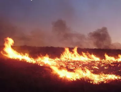 Продължава гасенето на голям пожар на гръцкия остров Самос