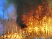 Турция: Горски пожар в България заплашва да стигне до Одрин 