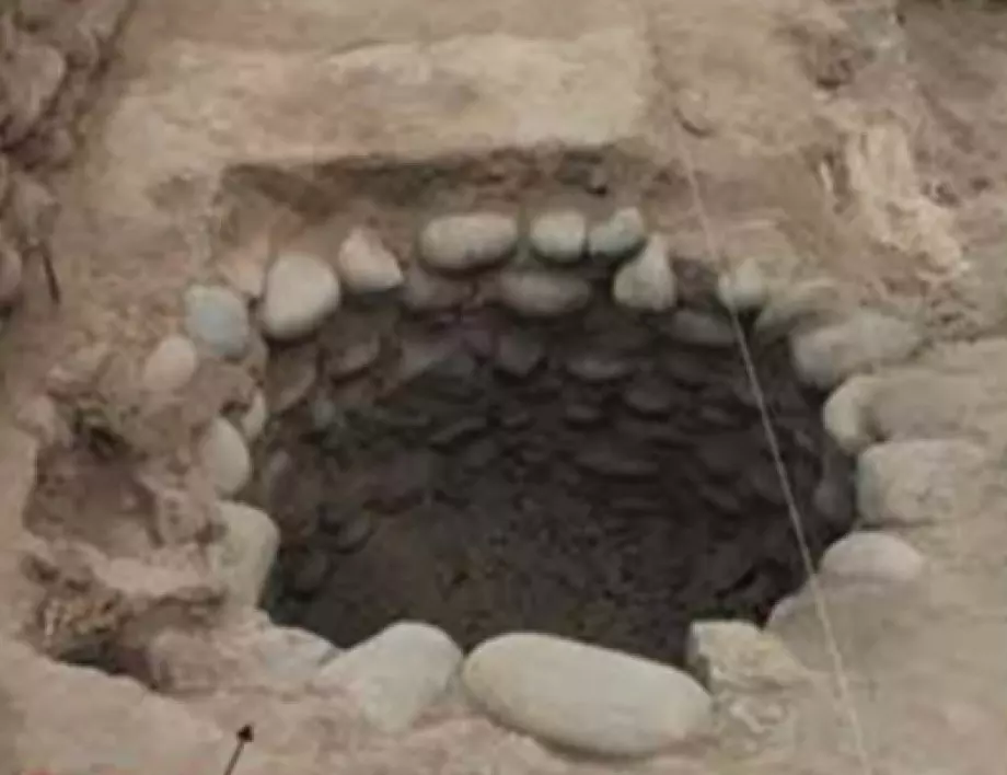 Инките устройвали ритуални пиршества с печено камилско месо