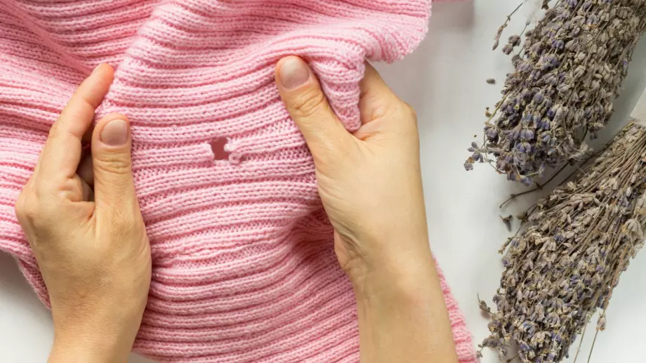 Лесен и евтин начин да защитите дрехите си от молци