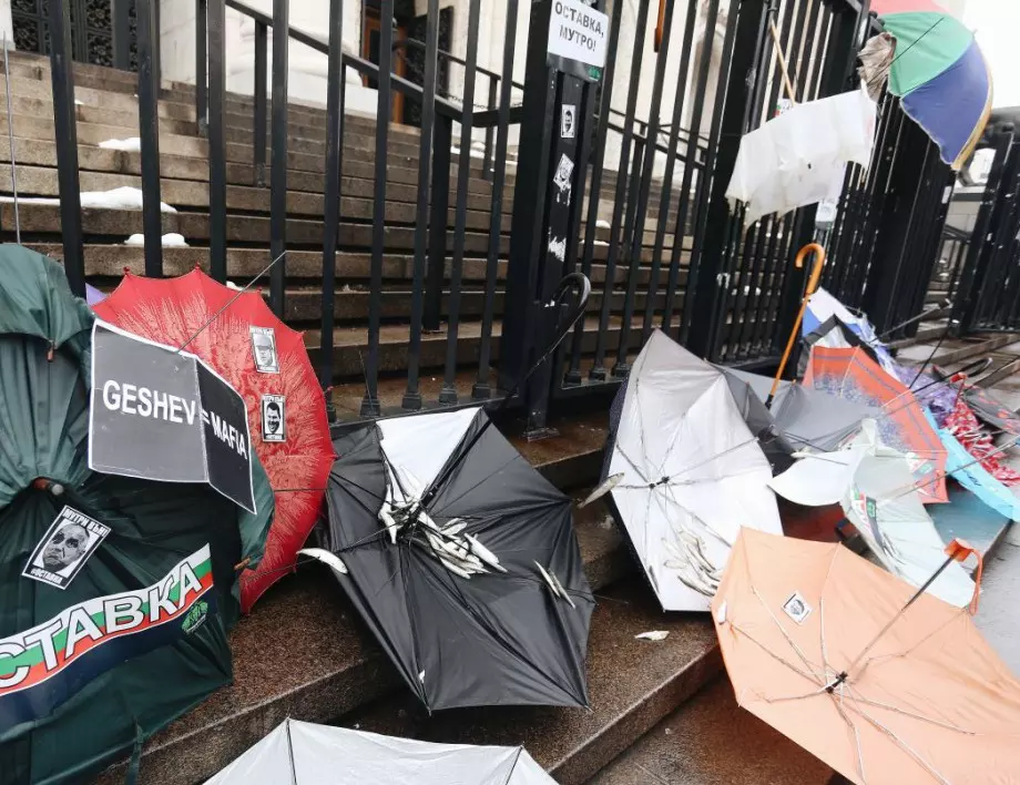 След флашмоб: Счупени чадъри и цаца за Гешев и Цацаров пред Съдебната палата