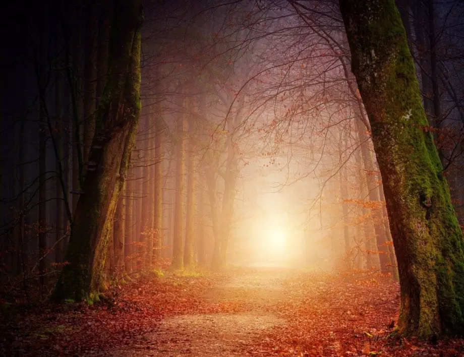 Най-невероятните неща, случили се на хора след кома