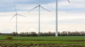 2022/02/07/0231324001644224521