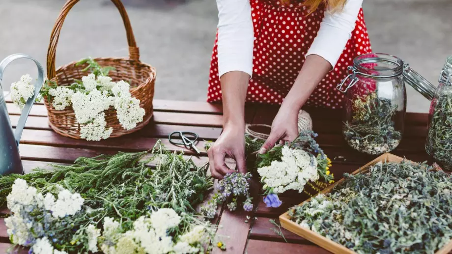 5 лечебни билки и техните ползи за здравето