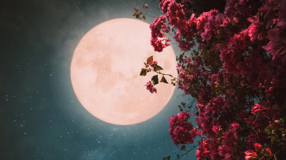 Пълнолунието на 10 септември ще донесе големи проблеми на тези зодии