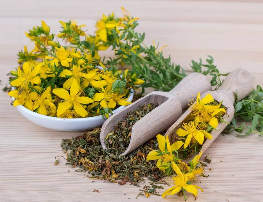 Какво лекува жълтият кантарион?