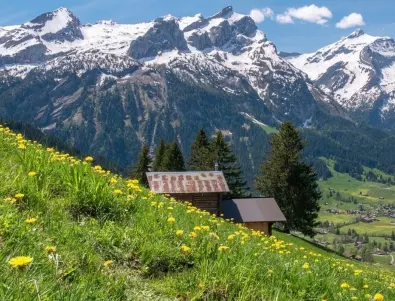 Какви чудовища се крият в швейцарските Алпи?
