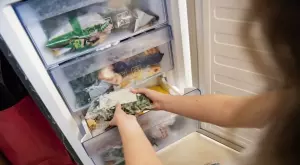 Колко време и какви храни може да замразяваме във фризера