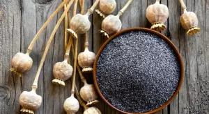 Маково масло - един забравен лек от природата