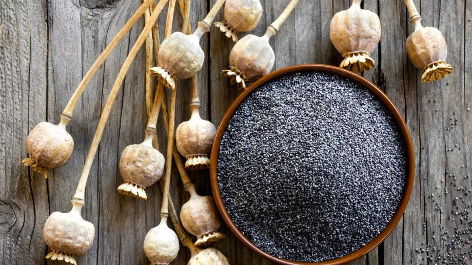 Маково масло - един забравен лек от природата