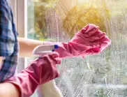 Мързеливите домакини чистят прозорците така и те остават чисти с месеци