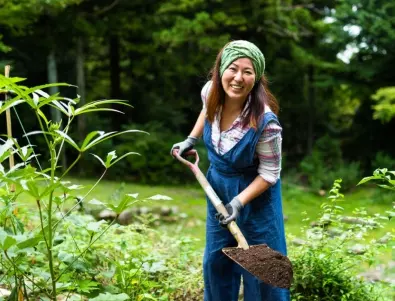 5 зеленчука, които дори най-мързеливият градинар може да отглежда