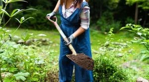 Защо хитрите градинари заравят риба в градината?