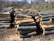 Областният на Смолян: Обещанието на земеделския министър на БСП за евтини дърва е чисто популистко