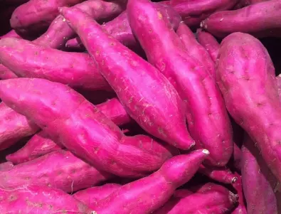 Семе за лилави картофи – ползи и отглеждане
