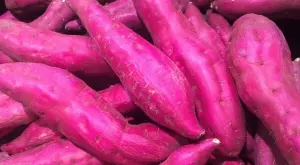 Кои са основните ползи за здравето от лилавите картофи