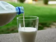 Цената на суровото мляко се срина, по магазините остава висока