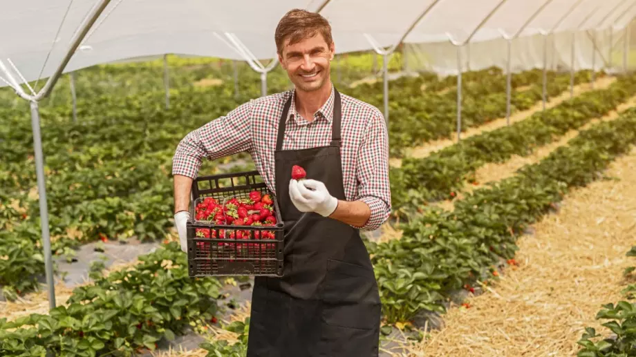 ДФ "Земеделие" изплаща над 175 млн. лв. държавна помощ на земеделци заради войната 