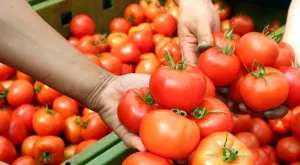 2022/03/09/0853169001646843506