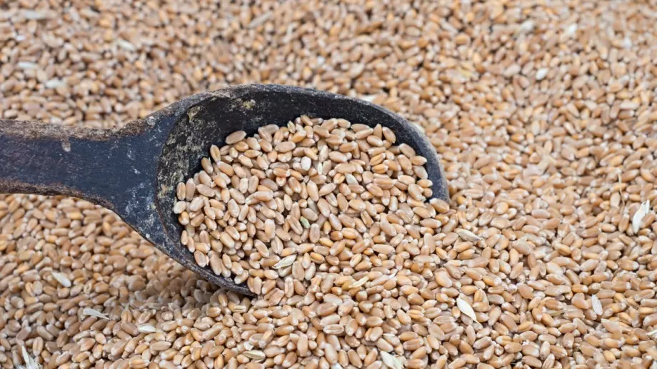 Световната банка отпуска 30 млрд. долара за справяне с продоволствената криза