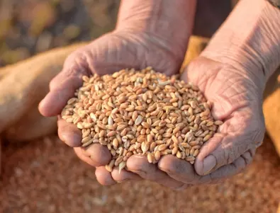 Украйна: Русия е откраднала над 650 хил. тона украинско зърно. Киев обяви кои са заподозрените в съучастие украинци