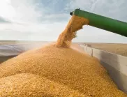 СТО призова страните да не блокират износа на ключови храни