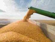Tест ще разпознава откраднатото от Русия украинско зърно