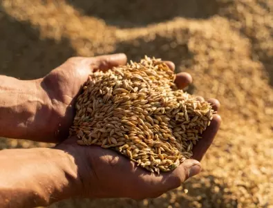 САЩ отпускат 68 млн. долара за закупуване на зърно от Украйна