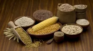 Забрана за износ: Кои държави не позволяват да се изнасят храни?