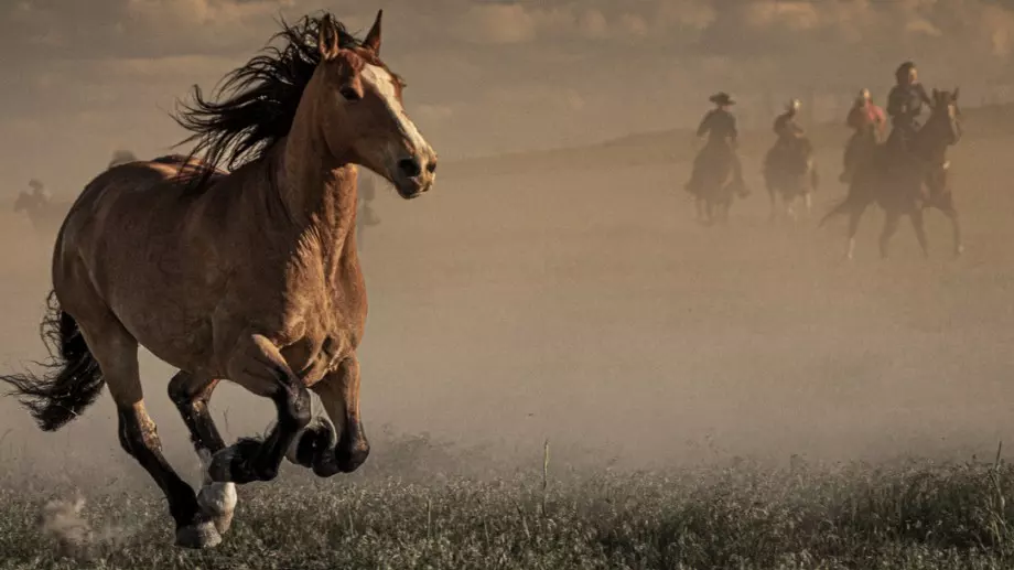 Традиции и обичаи на Тодоровден 