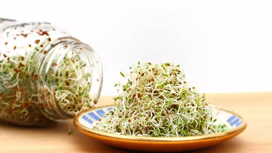 Невероятните ползи на кълновете за здравето