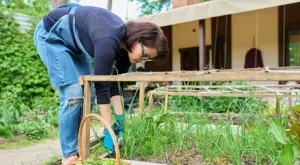4 груби грешки в градината, които всички допускат през есента