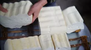 Цената на сиренето достигна рекордни нива - надхвърли 11 лв. за килограм