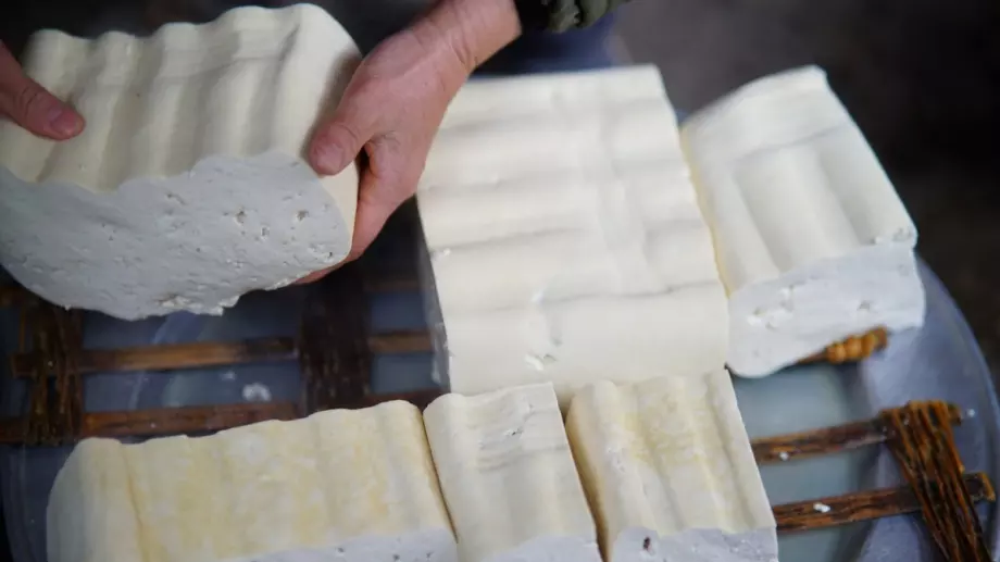 Цената на сиренето достигна рекордни нива - надхвърли 11 лв. за килограм